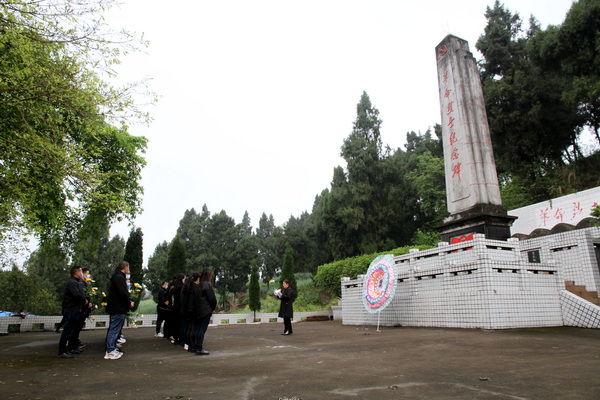 順河鎮(zhèn)黨員干部正在祭奠革命烈士.jpg